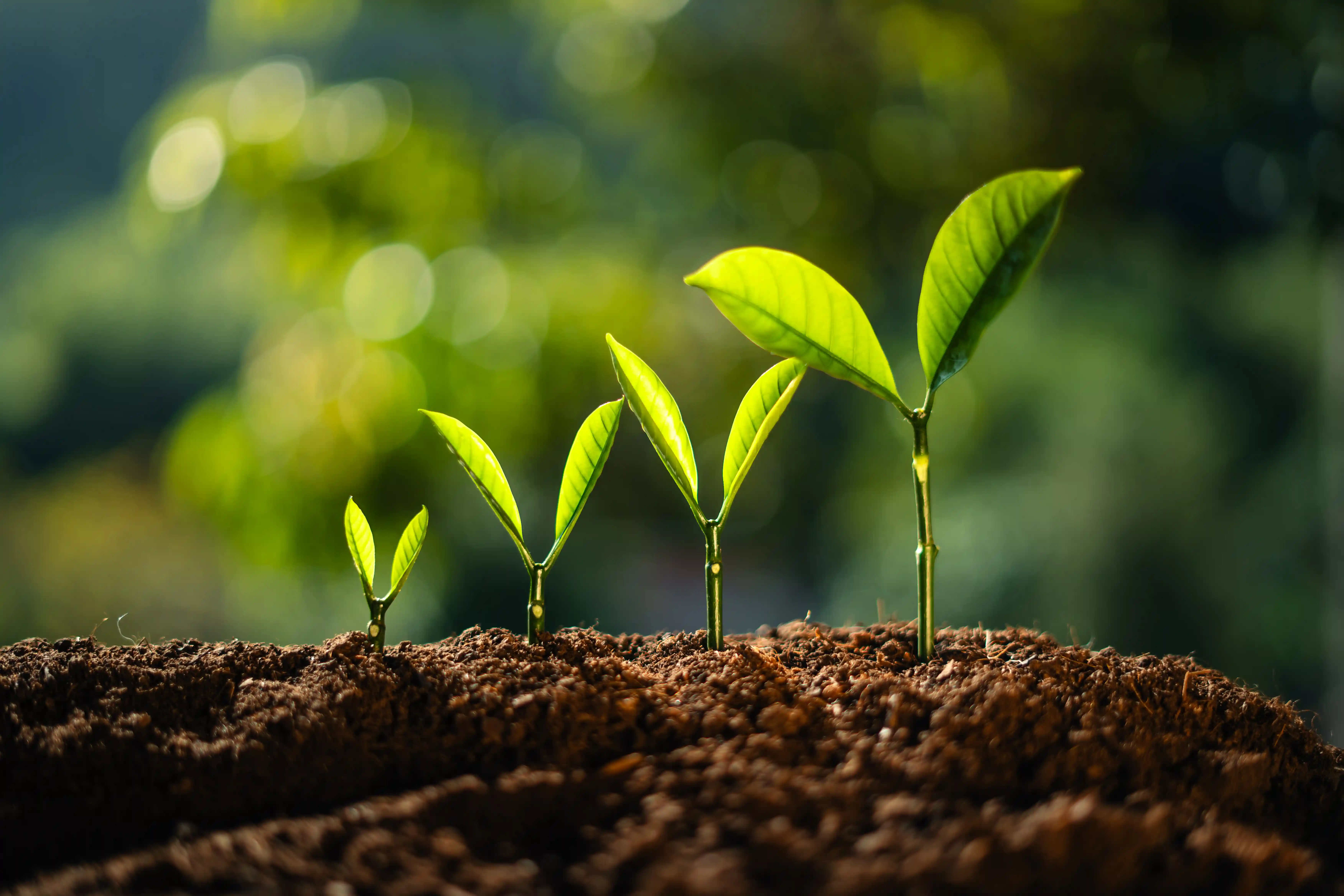 Was ist Supervision – und warum ist sie für professionelle Zusammenarbeit unverzichtbar